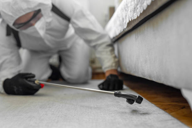 Professional Termite Control technician working in Edgerton, OH