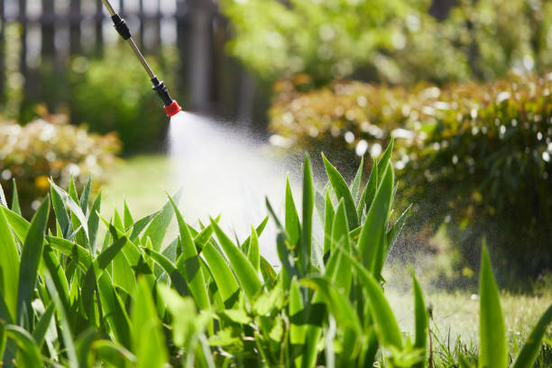 24/7 Emergency Termite Control experts in Edgerton, OH