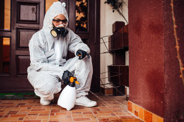 Reliable Termite Control contractor in Edgerton, OH by Nex Pest Control