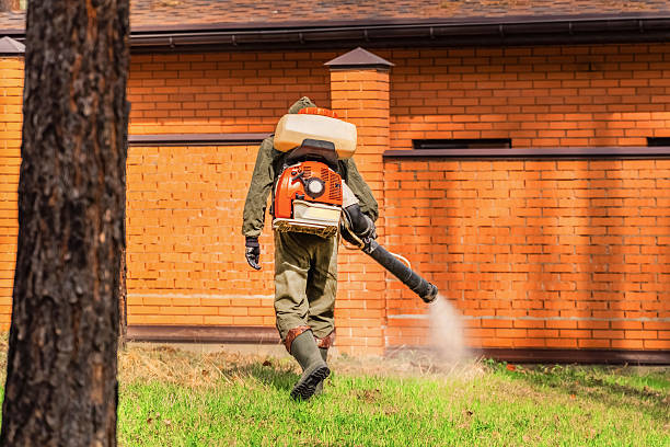 Top rated local Termite Control specialists in Edgerton, OH